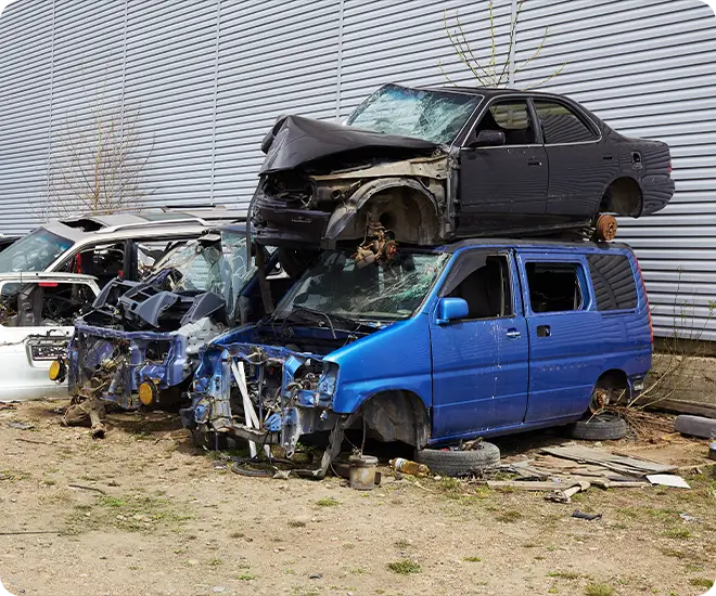 Autoverschrottung Berlin Prenzlauer Berg – Baumpflanzaktion für jede Autoentsorgung Berlin